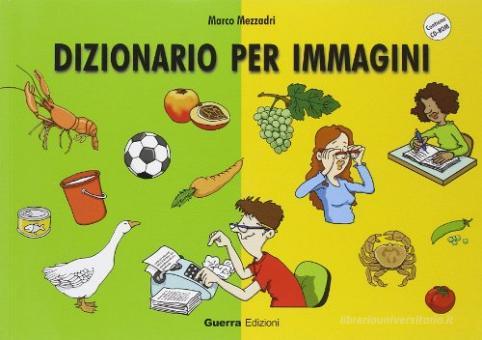 Copertina di Dizionario per immagini + CD