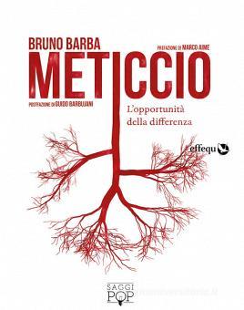 Copertina di METICCIO